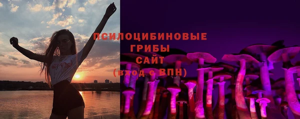 PSILOCYBIN Беломорск